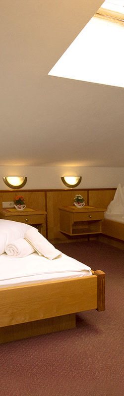 Ferienwohnung in Flachau, Ferienwohnungen Jagdhof