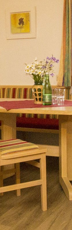 Ferienwohnung in Flachau, Ferienwohnungen Jagdhof