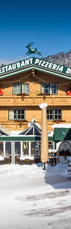 Ferienwohnungen in Flachau, Ferienwohnungen Jagdhof